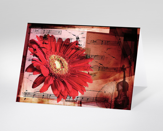 Musik und Blumen verzaubern die Welt