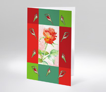 Die Rose