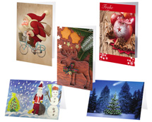 Weihnachtskarten inkl. Geschenkbox