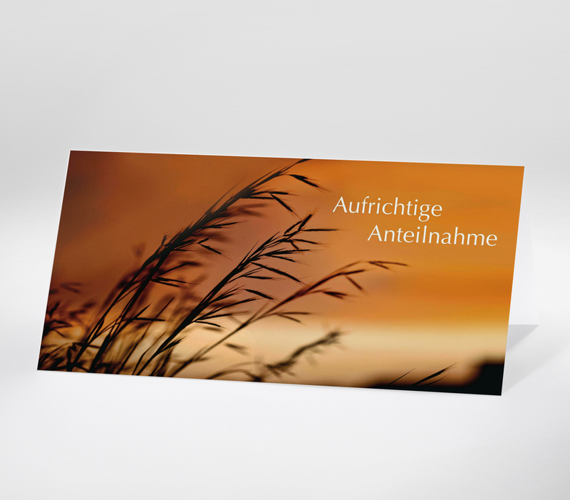 Trauerkarte die ein Foto von Gräsern im Schatten in Nahaufnahme vor organgenem Himmel zeigt. Oben rechts steht in weiß Aufrichtige Anteilnahme.