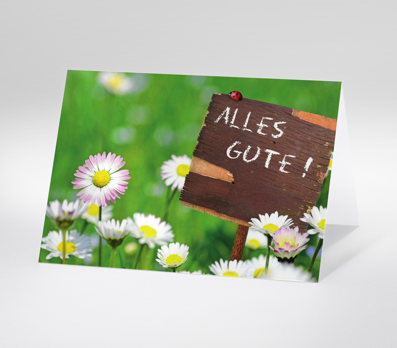 Holzschild mit Schriftzug Alles Gute! zwischen Gänseblümchen auf grüner Wiese