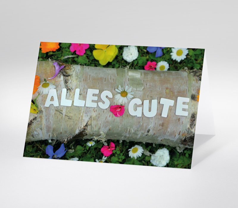 Schriftzug Alles Gute aus weißen Buchstaben auf Birkenrinde, umgeben von bunten Blumen