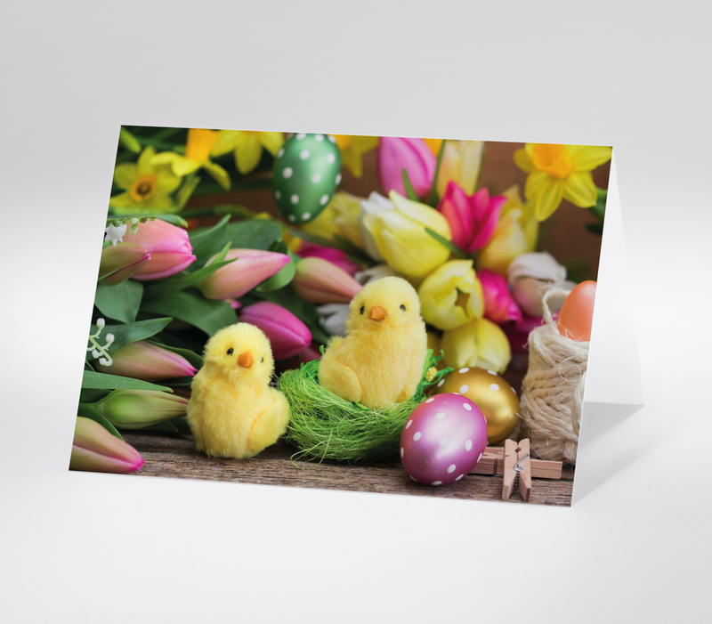 Zwei gelbe Plüschküken im Osternest zwischen Tulpen und bemalten Eiern