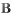 Text fett gestalten